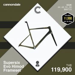 SUPERSIX EVO HI-MOD CARBON FRAME MANTIS SIZE 56