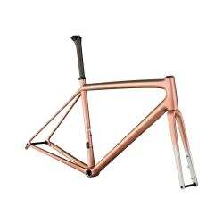 S-Works Aethos Frameset FLKSIL/CMINREDGLD/BRSHCP SIZE 49