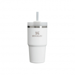 STAN ADV 20OZ QNCHRH2.O TM TUMB FROST-AP