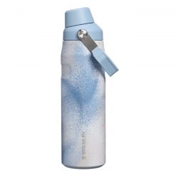 STAN 24OZ/0.71L ICEFLWFFLW WTRBTL SLATE BLUE TG AP