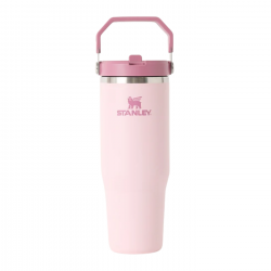 STAN 30OZ/0.89L ICEFLW2 FLPSTR TUMB P D WESTERN AP