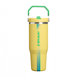 STAN 30OZ/0.89L QNCHR2 PTR TUMB TEAM YLLW GREEN AP