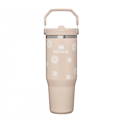 STAN 30OZ/0.89L QNCHR2 PTR TUMB CHAMPAGNE DSIES AP