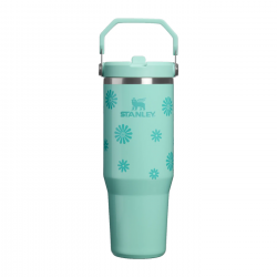 STAN 30OZ/0.89L ICEFLW2 FLPSTR TUMB TEAL DSIES AP