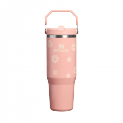STAN 30OZ/0.89L ICEFLW2 FLPSTR TUMB SORBT DSIES AP