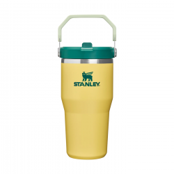 STAN 20OZ/0.59L ICEFLW2 FLPSTR TUMB DFFDL EMRLD AP