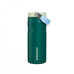 STAN 16OZ/0.47L ICEFLW2 FLPSTR WTRBTL E HNEYDEW AP