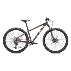 BIKE ROCKHOPPER ELITE 29 SATIN DOPPIO/GLOSS SAND SIZE S