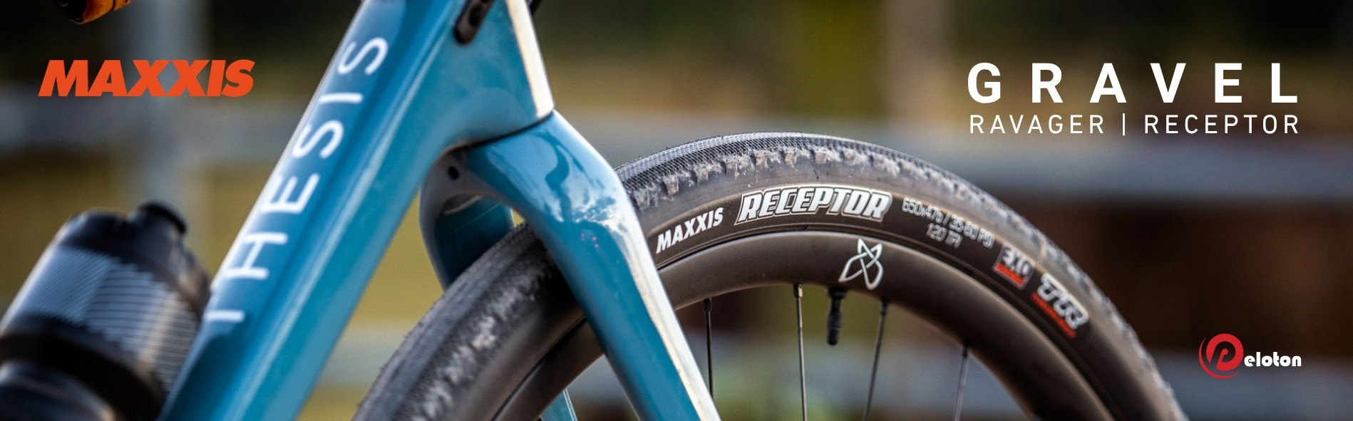 Maxxis Ravager & Receptor 