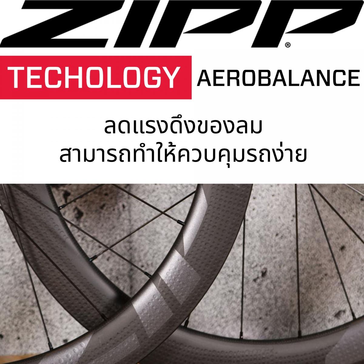 LINE_ALBUM_Zipp_303_404_230119_1