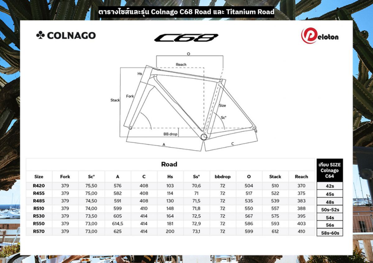 COLNAGO C68 ROAD / ALL ROAD / ROAD TITANIUM GEOMETRY_1