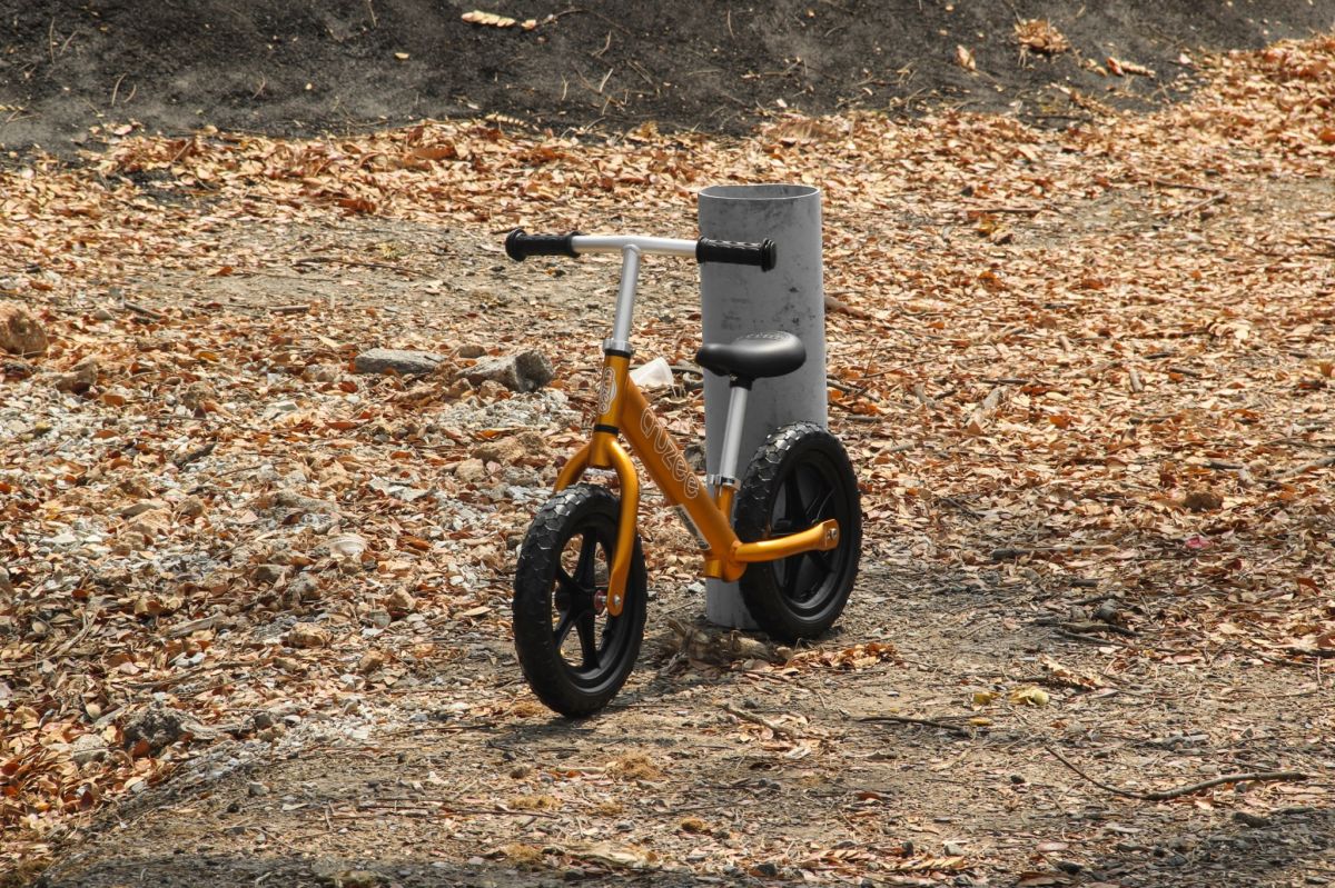 จักรยานขาไถ (BALANCE BIKE)