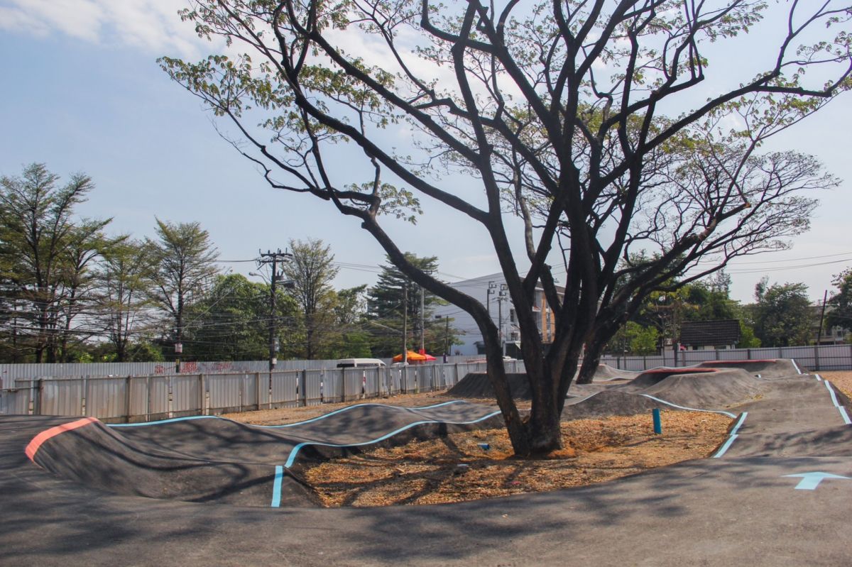 จักรยาน DIRT JUMP, BMX,FIXED GEAR, MTB,จักรยานเสือภูเขา