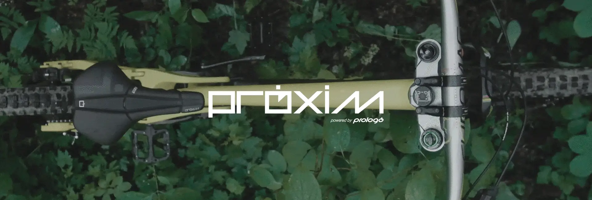 proximgiflogo_video_650